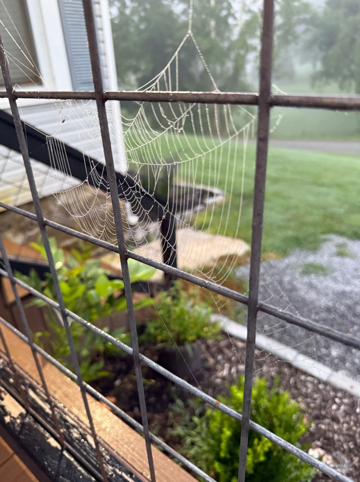 From Seasonal to Simple: Redefining Holiday&nbsp;Décor